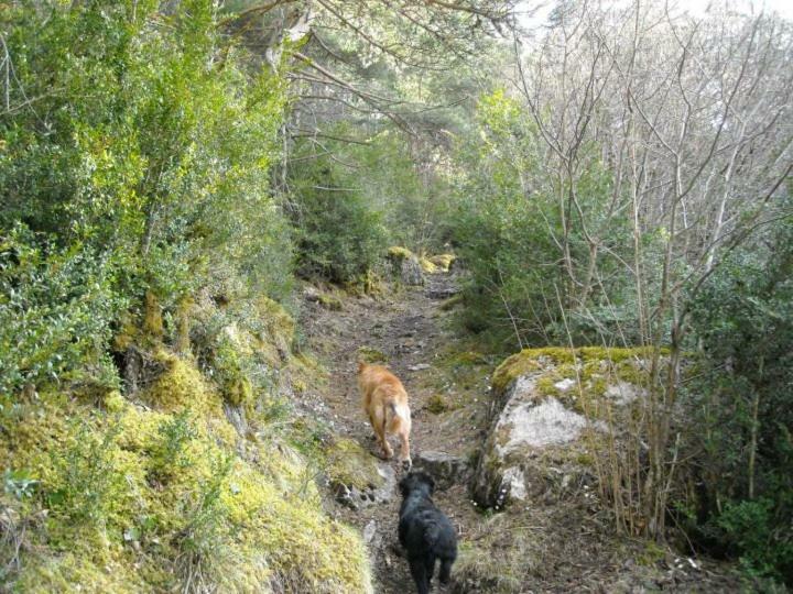 El Corralet De Cal Tonico Leilighet Llagunes Eksteriør bilde